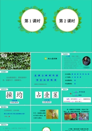 四年级语文上册 第三单元 10《爬山虎的脚》课件