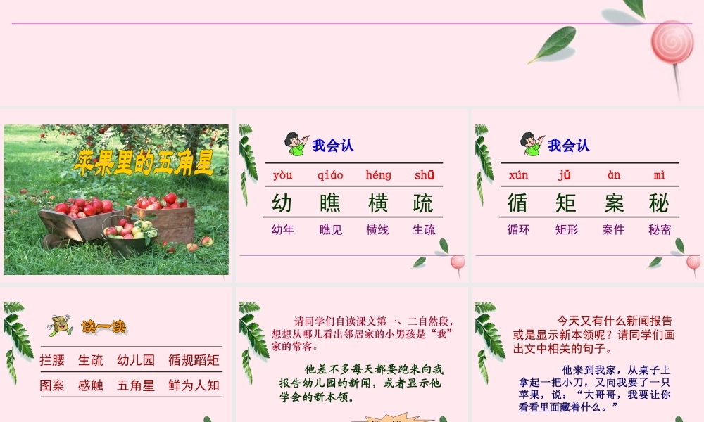 四年级语文下册 第二单元 第5课《果里的五角星》课件 苏教版-苏教版小学四年级下册语文课件