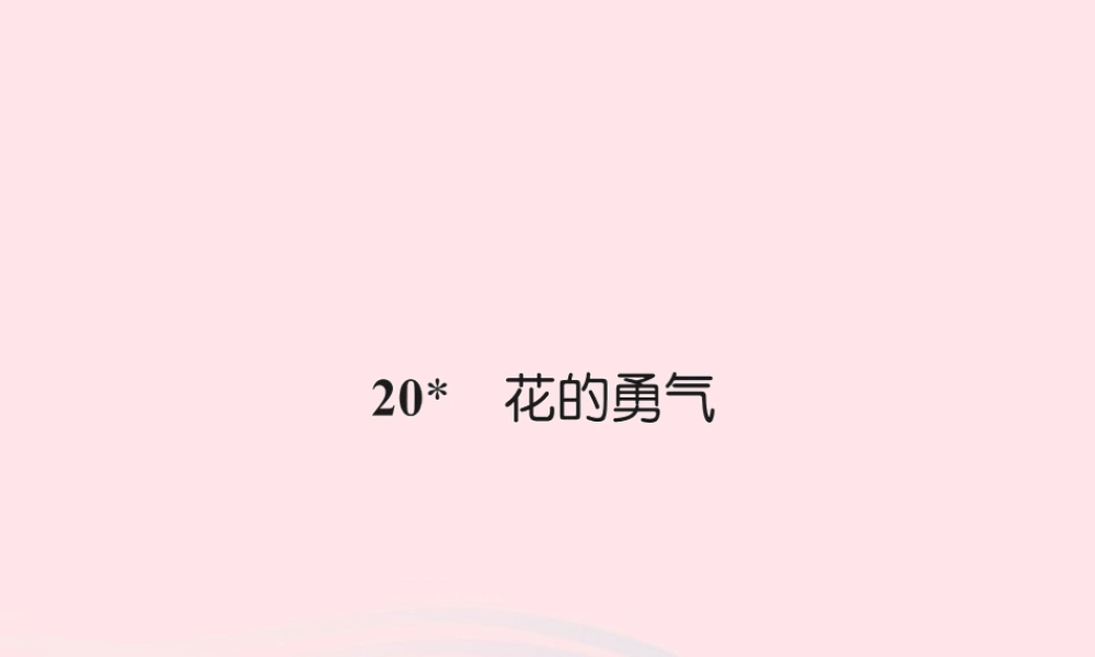 四年级语文下册 第5组 20 花的勇气习题课件 新人教版-新人教版小学四年级下册语文课件