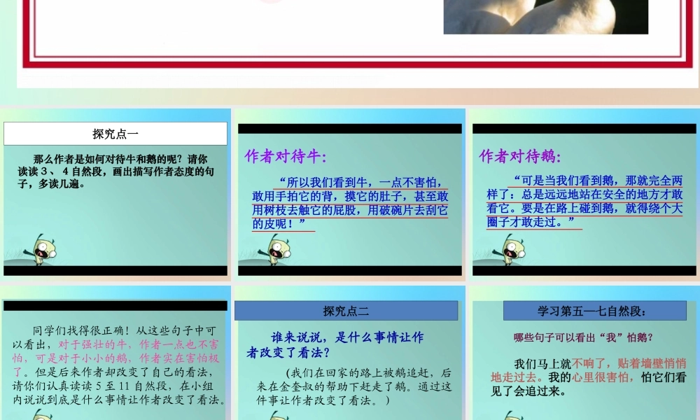 四年级语文上册 第六单元 18 《牛和鹅》优秀课件 新人教版-新人教版小学四年级上册语文课件