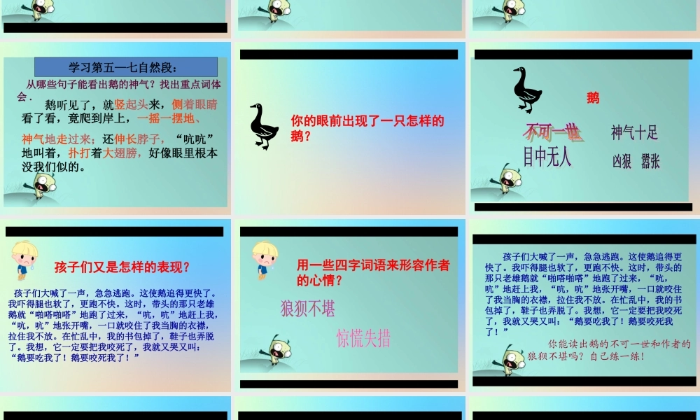 四年级语文上册 第六单元 18 《牛和鹅》优秀课件 新人教版-新人教版小学四年级上册语文课件