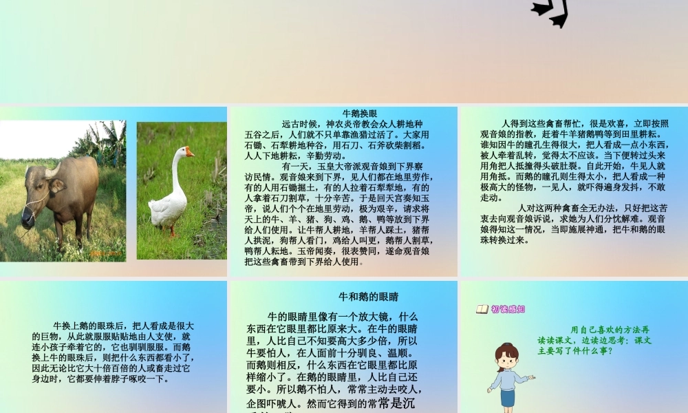 四年级语文上册 第六单元 18 牛和鹅课件 新人教版-新人教版小学四年级上册语文课件