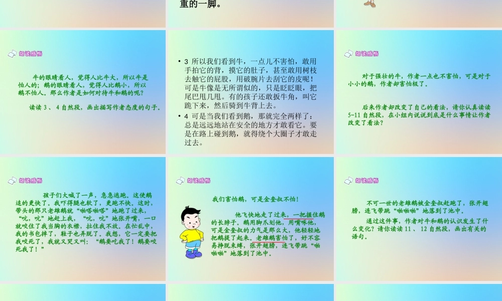 四年级语文上册 第六单元 18 牛和鹅课件 新人教版-新人教版小学四年级上册语文课件