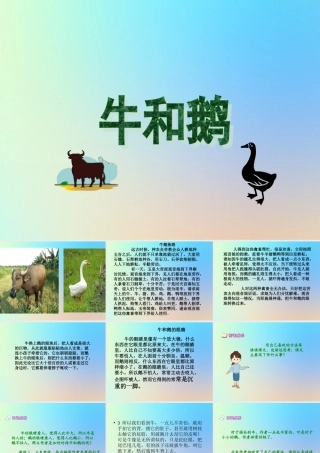 四年级语文上册 第六单元 18 牛和鹅课件 新人教版-新人教版小学四年级上册语文课件