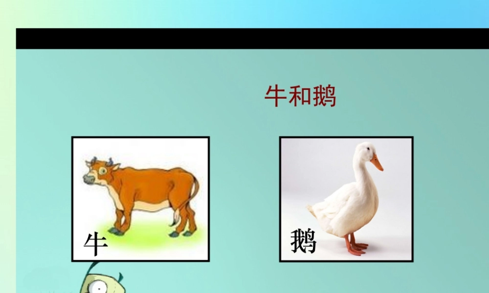 四年级语文上册 第六单元 18 牛和鹅课件1 新人教版-新人教版小学四年级上册语文课件