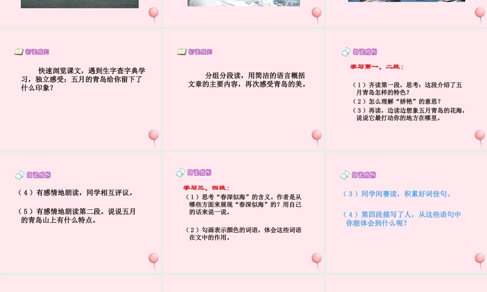 四年级语文下册 第二单元 第6课《五月的青岛》课件 西师大版-西师大版小学四年级下册语文课件