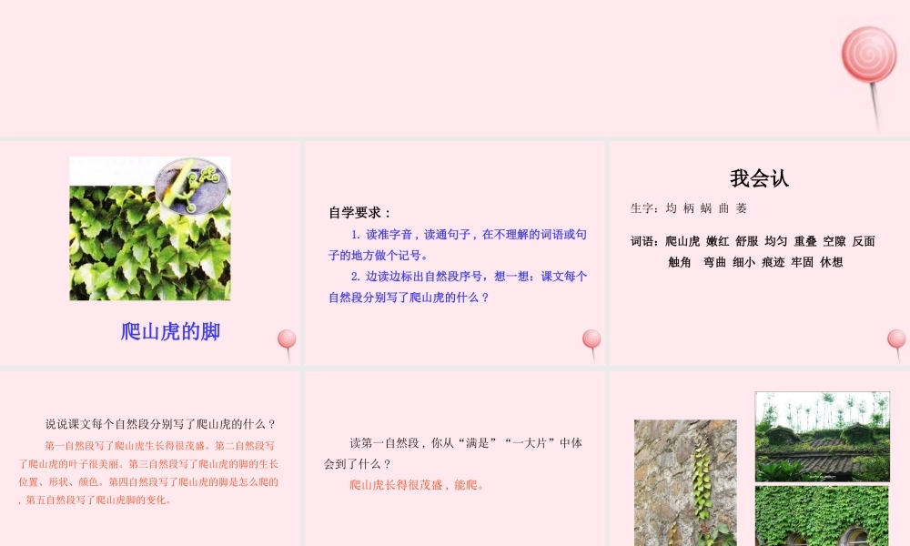 四年级语文上册 第三单元 10爬山虎的脚课件 新人教版-新人教版小学四年级上册语文课件