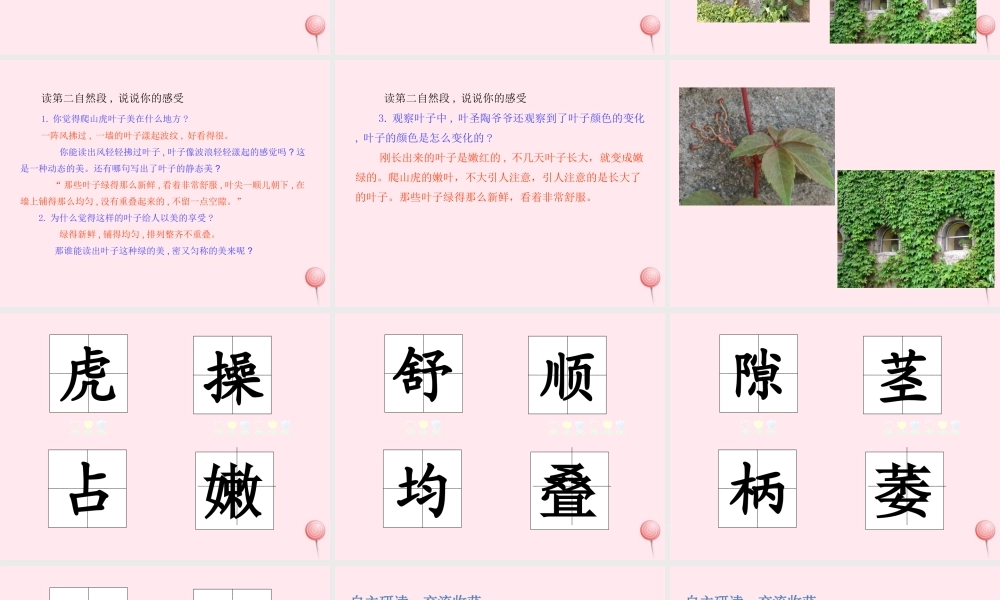 四年级语文上册 第三单元 10爬山虎的脚课件 新人教版-新人教版小学四年级上册语文课件