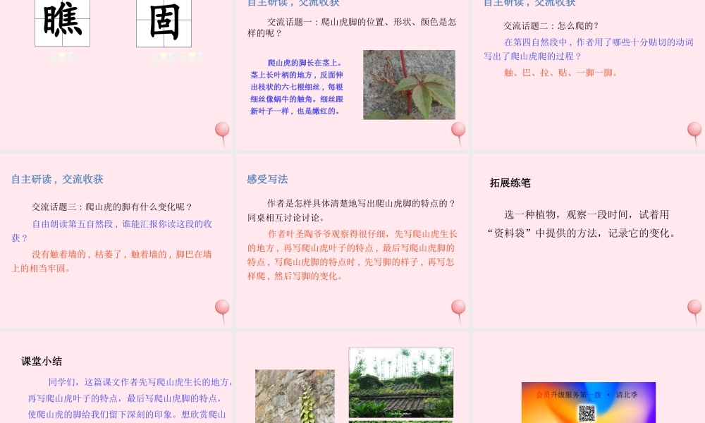 四年级语文上册 第三单元 10爬山虎的脚课件 新人教版-新人教版小学四年级上册语文课件