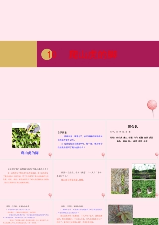 四年级语文上册 第三单元 10爬山虎的脚课件 新人教版-新人教版小学四年级上册语文课件