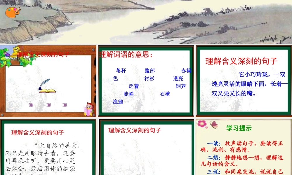 四年级语文下册 第6单元 21《爬山》课件3 语文S版-语文S版小学四年级下册语文课件