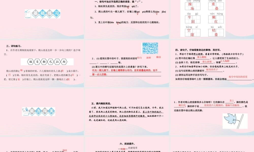 四年级语文上册 第三单元 10爬山虎的脚作业课件 新人教版-新人教版小学四年级上册语文课件