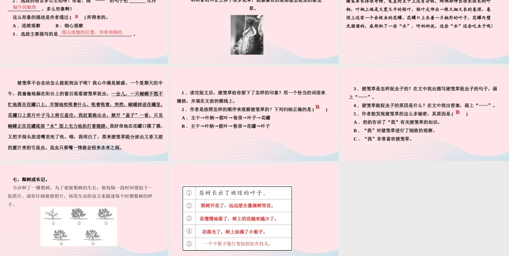 四年级语文上册 第三单元 10爬山虎的脚作业课件 新人教版-新人教版小学四年级上册语文课件