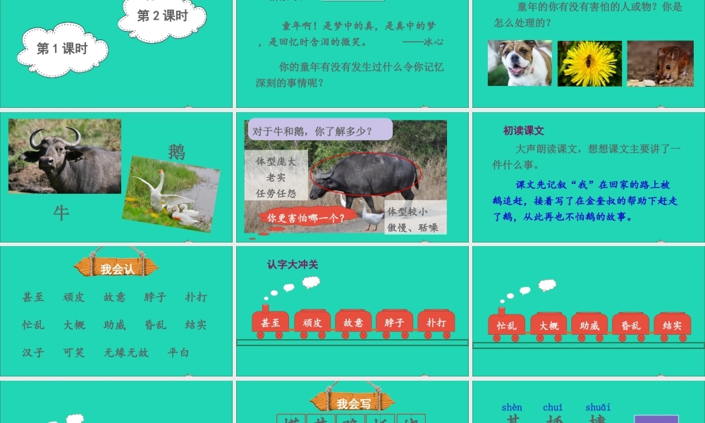 四年级语文上册 第六单元 18《牛和鹅》课件 新人教版-新人教版小学四年级上册语文课件