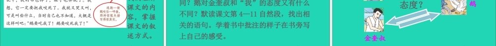 四年级语文上册 第六单元 18《牛和鹅》课件 新人教版-新人教版小学四年级上册语文课件