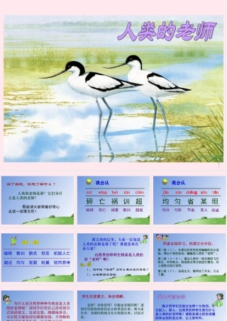 四年级语文下册 第二单元 第7课《人类的老师》课件 苏教版-苏教版小学四年级下册语文课件