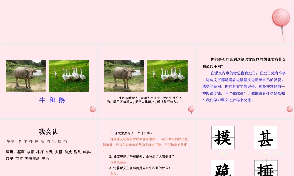 四年级语文上册 第六单元 18牛和鹅课件 新人教版-新人教版小学四年级上册语文课件