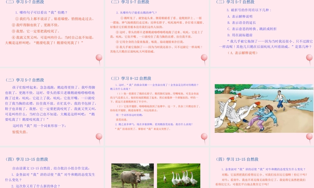 四年级语文上册 第六单元 18牛和鹅课件 新人教版-新人教版小学四年级上册语文课件