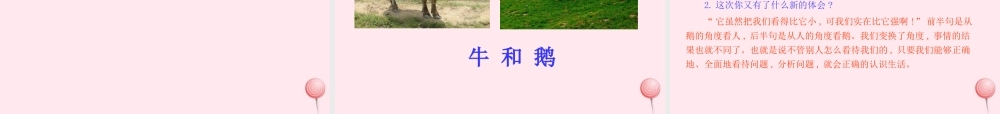 四年级语文上册 第六单元 18牛和鹅课件 新人教版-新人教版小学四年级上册语文课件