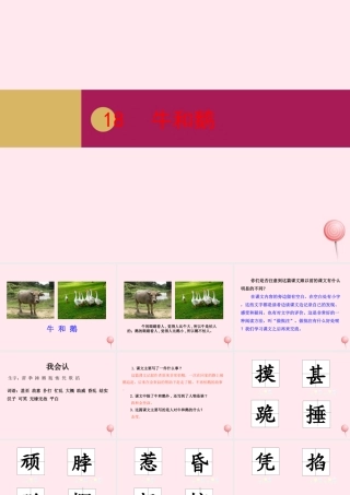 四年级语文上册 第六单元 18牛和鹅课件 新人教版-新人教版小学四年级上册语文课件
