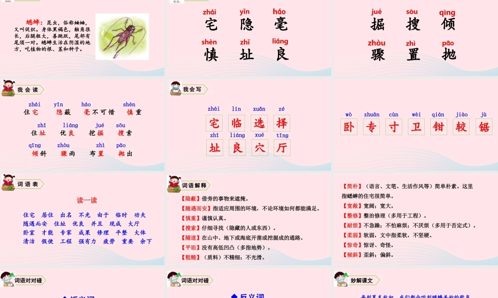 四年级语文上册 第三单元 11 蟋蟀的住宅教学课件 新人教版-新人教版小学四年级上册语文课件