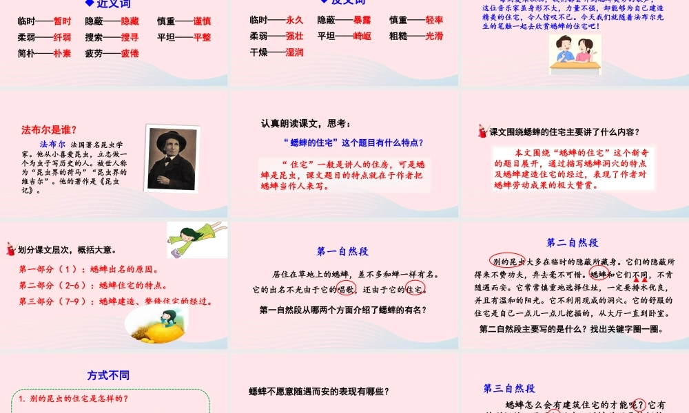 四年级语文上册 第三单元 11 蟋蟀的住宅教学课件 新人教版-新人教版小学四年级上册语文课件