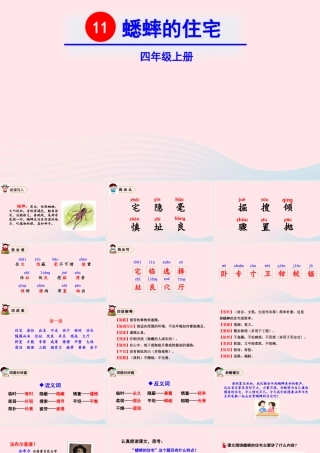 四年级语文上册 第三单元 11 蟋蟀的住宅教学课件 新人教版-新人教版小学四年级上册语文课件