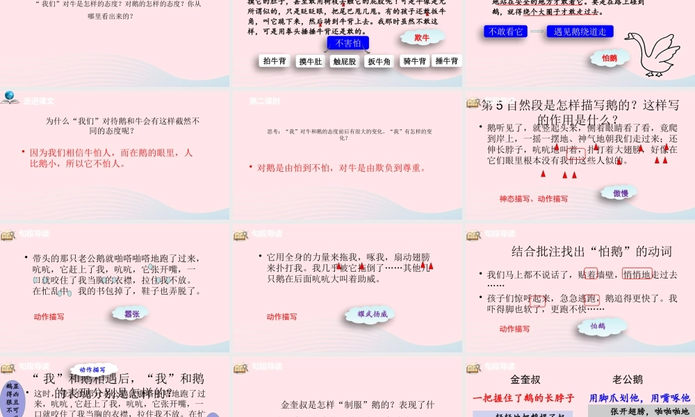 四年级语文上册 第六单元 18牛和鹅课件 新人教版-新人教级上册语文课件