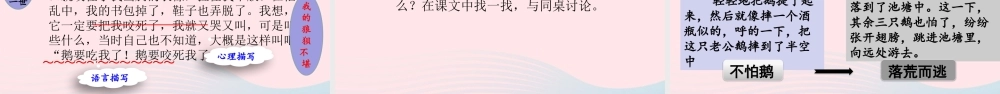 四年级语文上册 第六单元 18牛和鹅课件 新人教版-新人教级上册语文课件