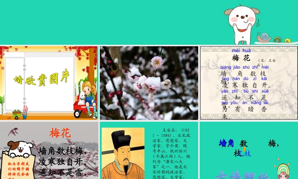 四年级语文上册《梅花》课件 教科版-教科版小学四年级上册语文课件