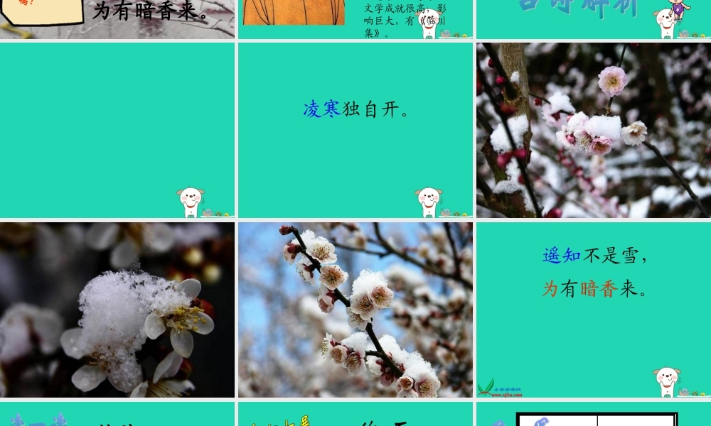 四年级语文上册《梅花》课件 教科版-教科版小学四年级上册语文课件