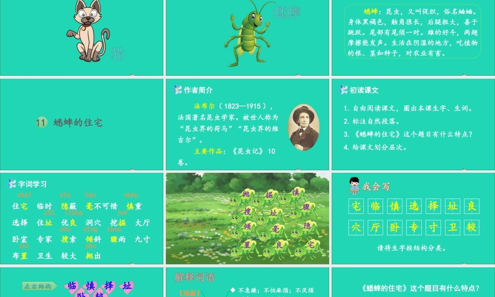 四年级语文上册 第三单元 11 蟋蟀的住宅课件