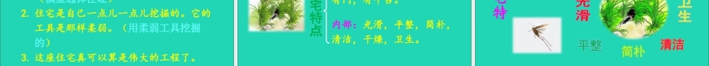 四年级语文上册 第三单元 11 蟋蟀的住宅课件