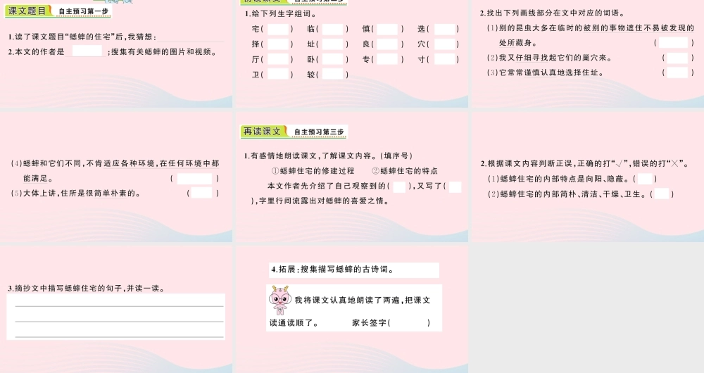 四年级语文上册 第三单元 11 蟋蟀的住宅作业课件 新人教版-新人教版小学四年级上册语文课件