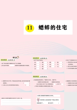四年级语文上册 第三单元 11 蟋蟀的住宅作业课件 新人教版-新人教版小学四年级上册语文课件