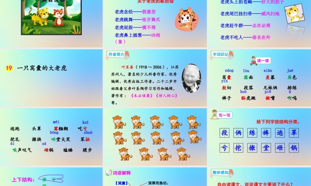 四年级语文上册 第六单元 19 《一只窝囊的大老虎》精品课件 新人教版-新人教版小学四年级上册语文课件