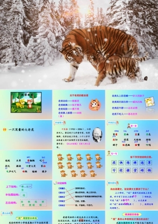 四年级语文上册 第六单元 19 《一只窝囊的大老虎》精品课件 新人教版-新人教版小学四年级上册语文课件