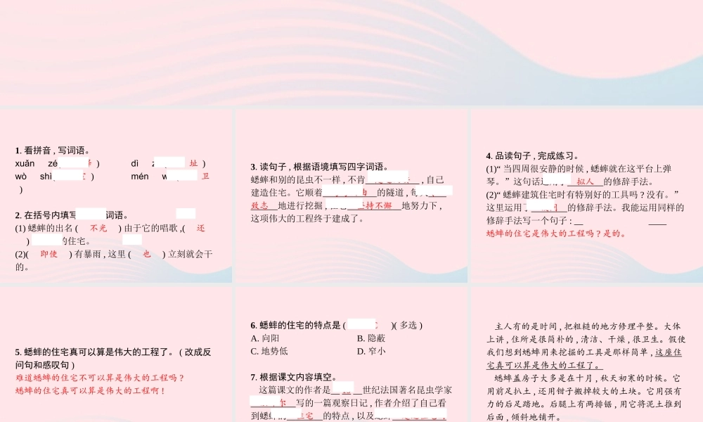 四年级语文上册 第三单元 11 蟋蟀的住宅作业课件 新人教版-新人教级上册语文课件