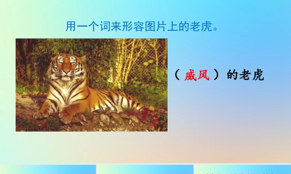 四年级语文上册 第六单元 19 《一只窝囊的大老虎》名师课件 新人教版-新人教版小学四年级上册语文课件