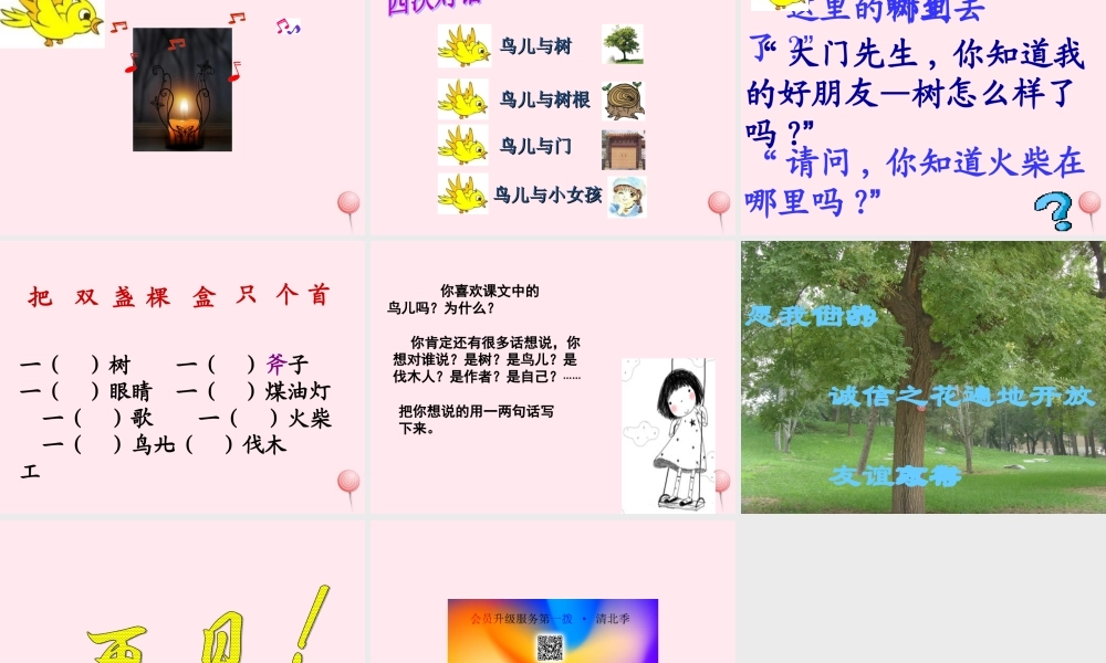 四年级语文上册 第三单元 11《去年的树》课件1 鲁教版-鲁教版小学四年级上册语文课件