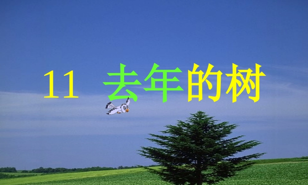 四年级语文上册 第三单元 11《去年的树》原创课件 鲁教版-鲁教版小学四年级上册语文课件