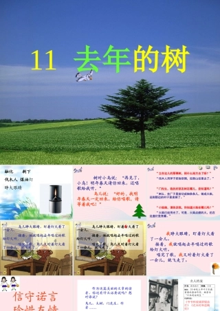 四年级语文上册 第三单元 11《去年的树》原创课件 鲁教版-鲁教版小学四年级上册语文课件