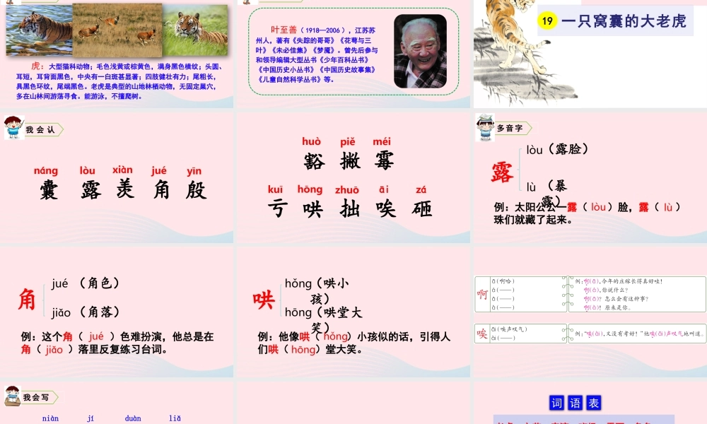 四年级语文上册 第六单元 19 一只窝囊的大老虎教学课件 新人教版-新人教版小学四年级上册语文课件