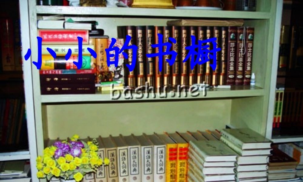 四年级语文上册 第三单元 11《我有一个小小的书橱》精品课件 冀教版-冀教版小学四年级上册语文课件