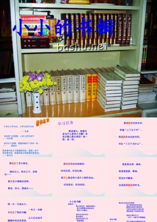 四年级语文上册 第三单元 11《我有一个小小的书橱》精品课件 冀教版-冀教版小学四年级上册语文课件