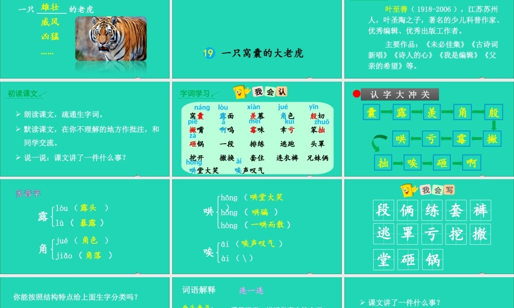 四年级语文上册 第六单元 19 一只窝囊的大老虎课件 新人教版-新人教版小学四年级上册语文课件