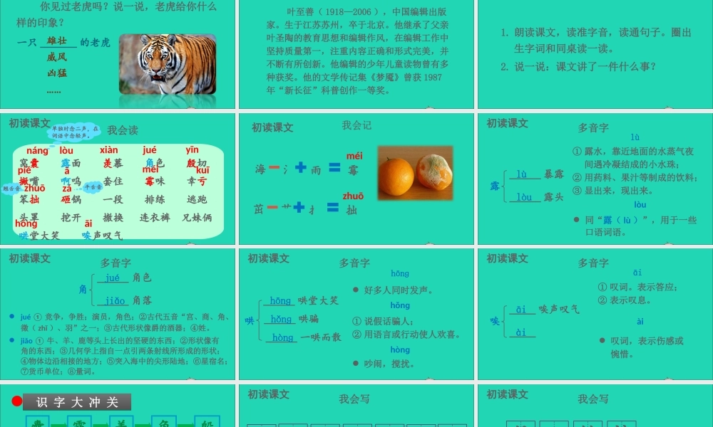 四年级语文上册 第六单元 19 一只窝囊的大老虎课件