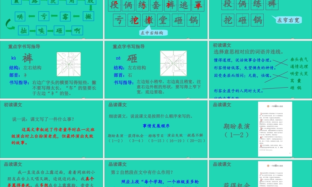 四年级语文上册 第六单元 19 一只窝囊的大老虎课件