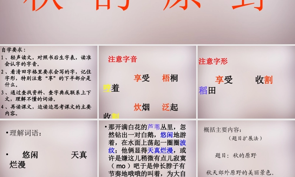 四年级语文上册《秋的原野》课件1 语文A版-语文A版小学四年级上册语文课件