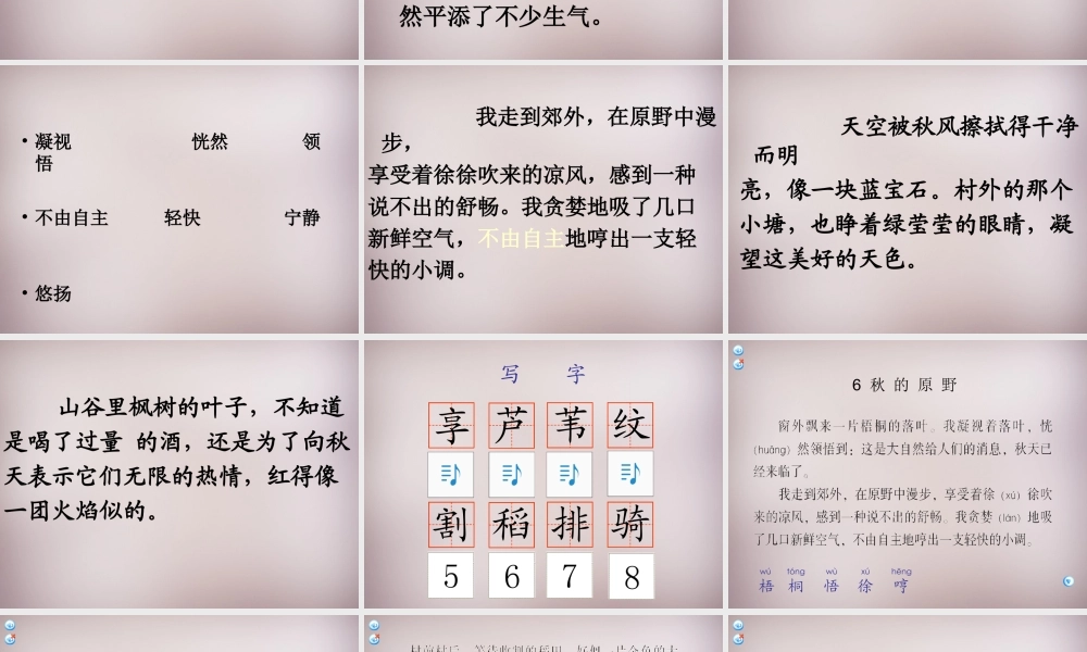 四年级语文上册《秋的原野》课件1 语文A版-语文A版小学四年级上册语文课件
